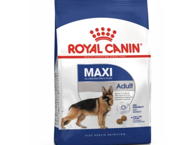 Royal cani adult maxi